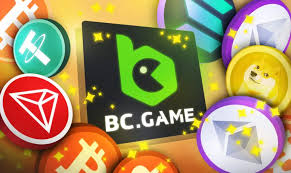 Comprehensive Overview of the BC App A Revolutionary Platform