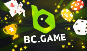 Comprehensive Overview of the BC App A Revolutionary Platform