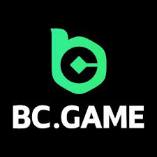 Comprehensive Overview of the BC App A Revolutionary Platform